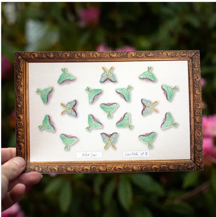 Earrings Moth and Myth Snowmoon Micro Luna Moth Collection