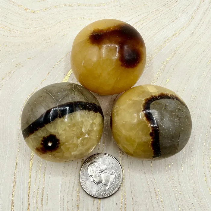 Septarian Eggs Palm Stone Jensen Rocks Rings