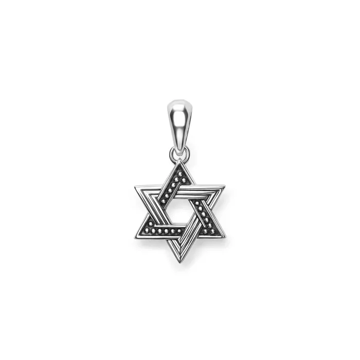Anthem Small Silver Star of David Amulet LAGOS Necklaces