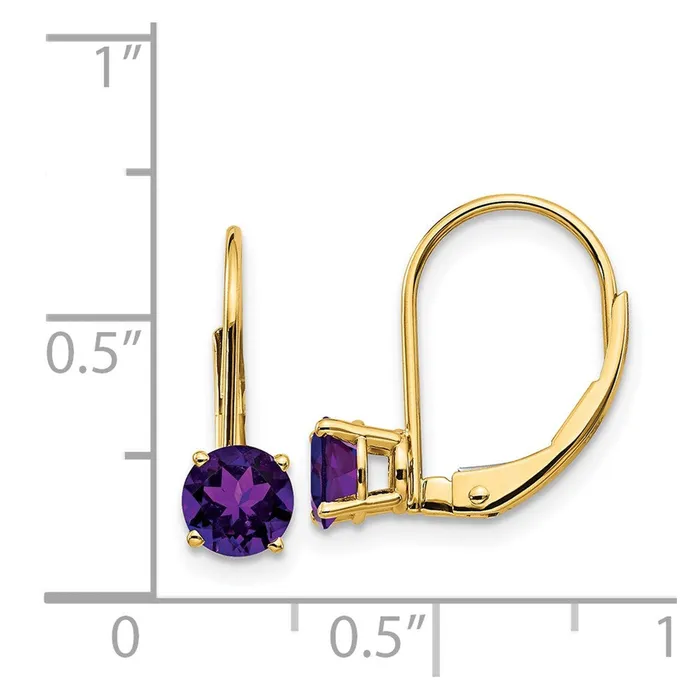 14k Yellow Gold 5mm Amethyst Leverback Earrings Goldia Earrings