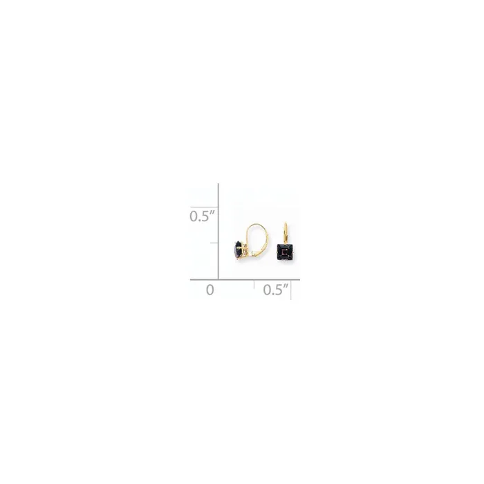 Goldia Earrings 14k Yellow Gold 7mm Princess Cut Amethyst Leverback Earrings