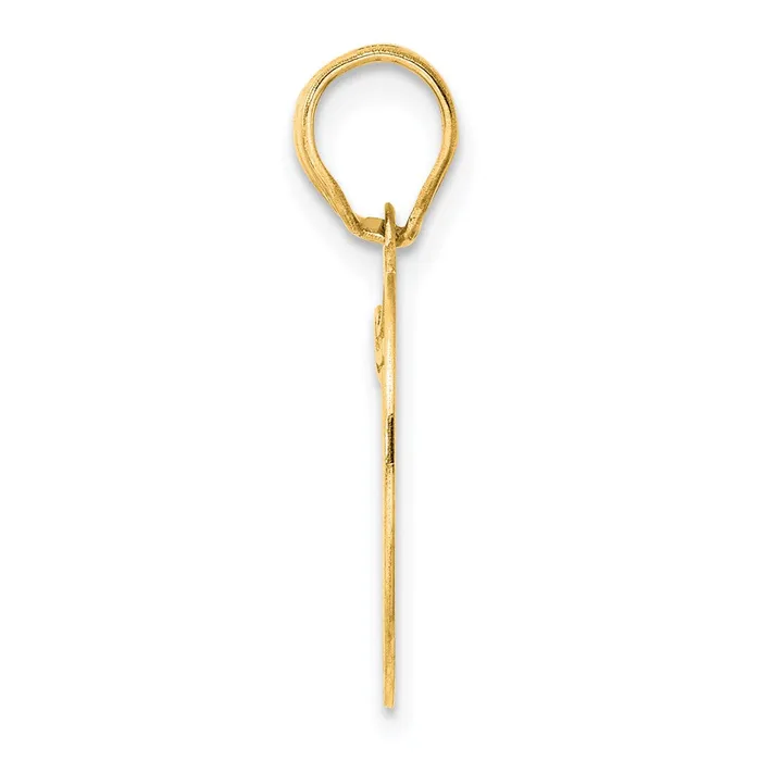 Goldia PreStyled Sets 14k Yellow Gold Polished Etched Number 19 Pendant